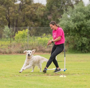 Pawfect Health Customer Review