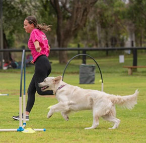 Pawfect Health Customer Review