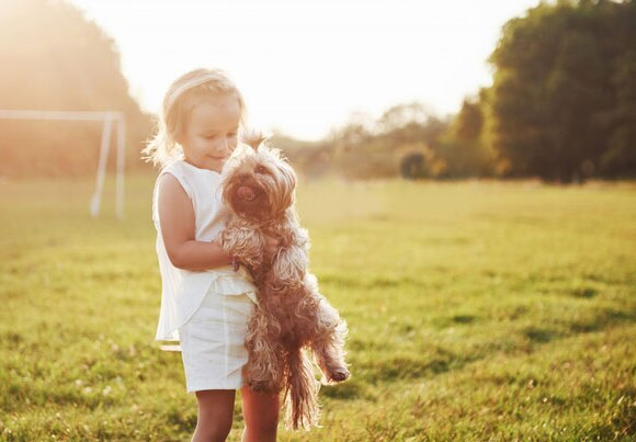 benefit for pets