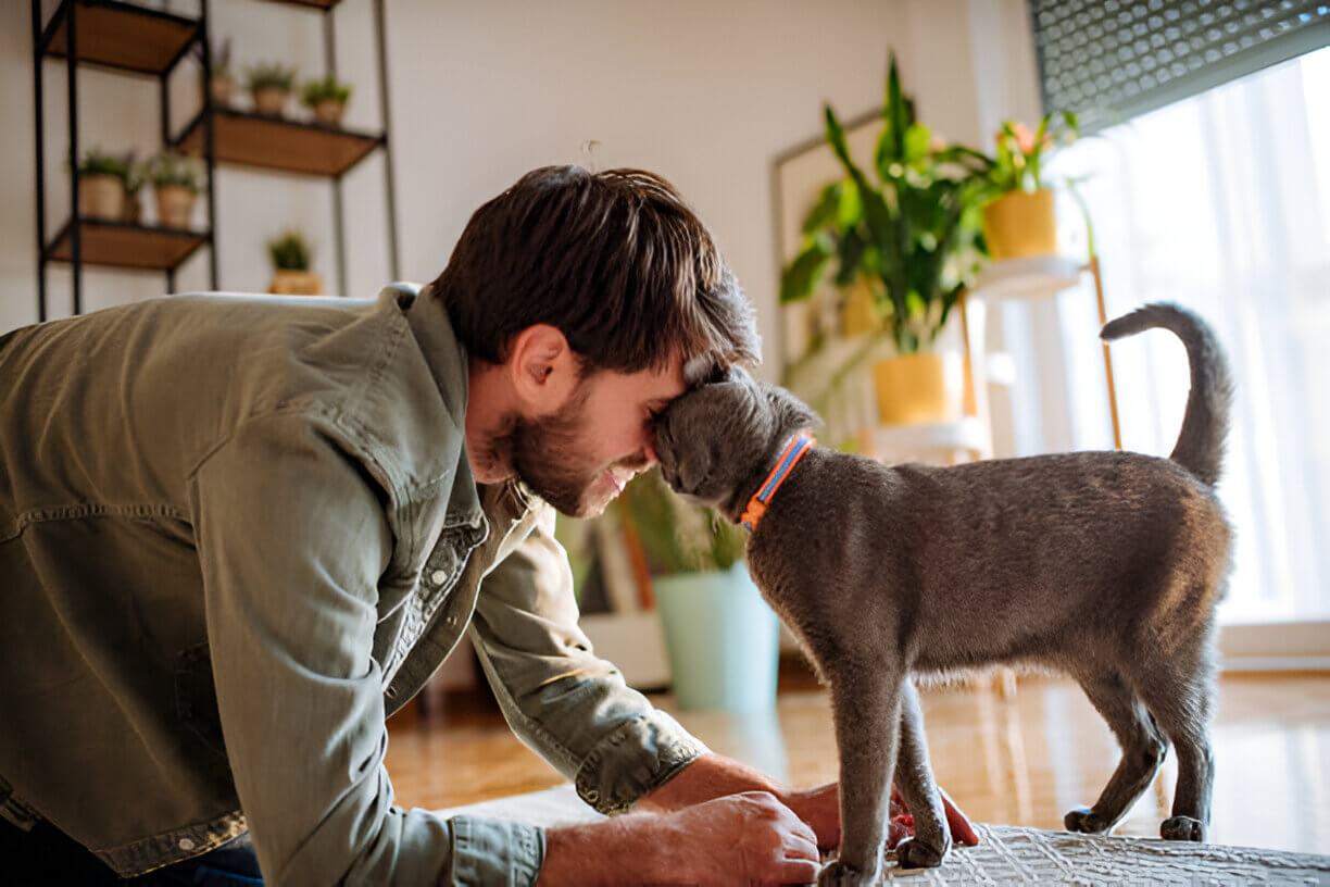 dogs well being