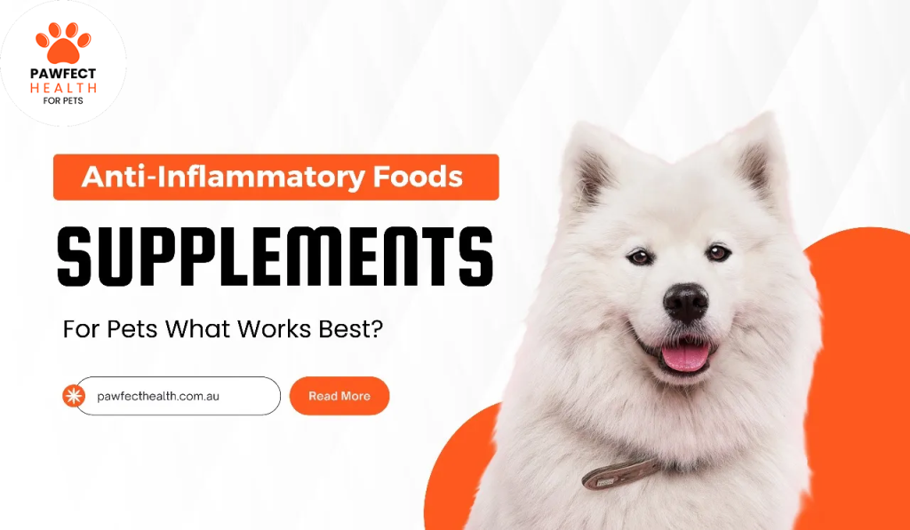 Anti-Inflammatory Foods And Supplements For Pets: What Works Best?
