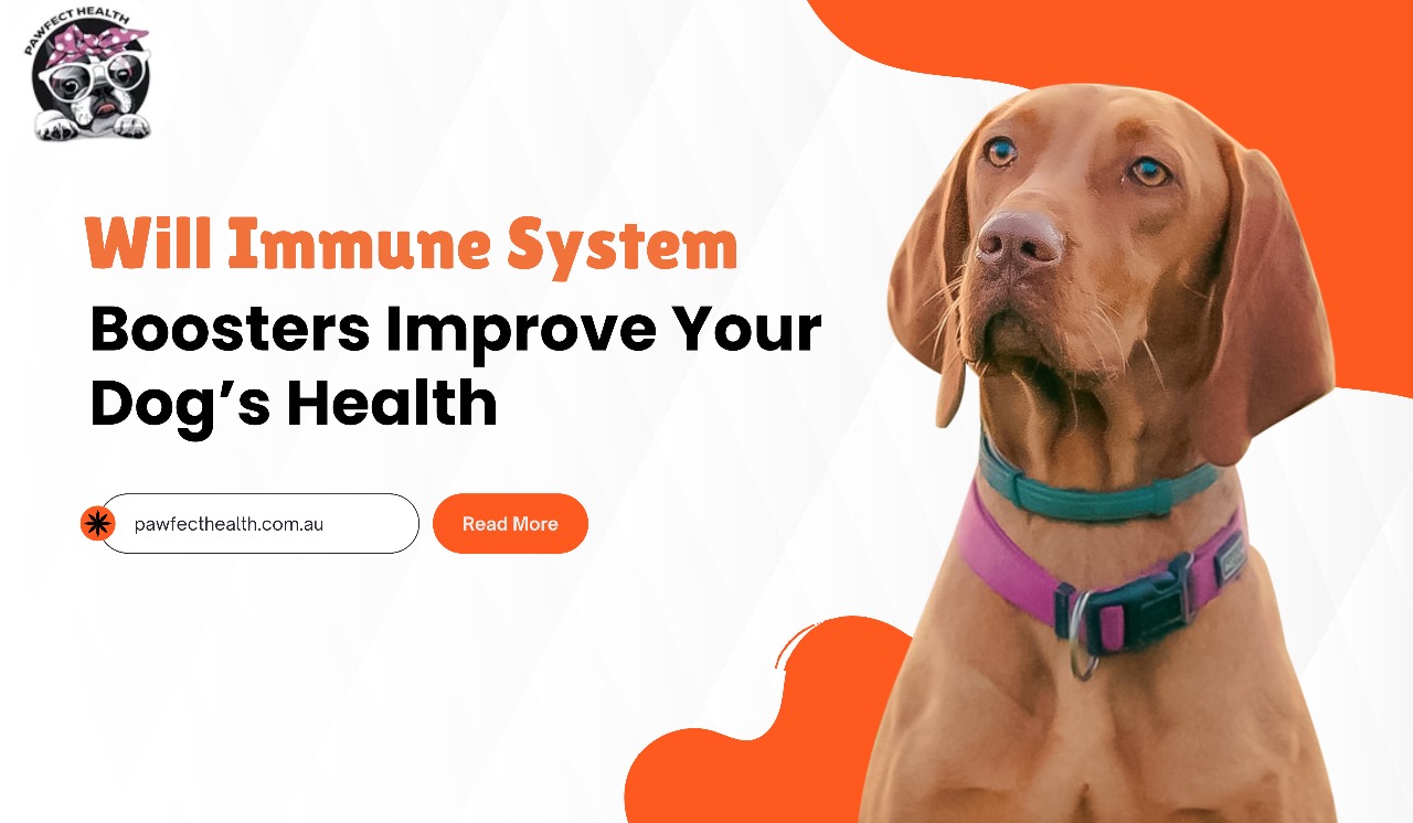 immune system booster