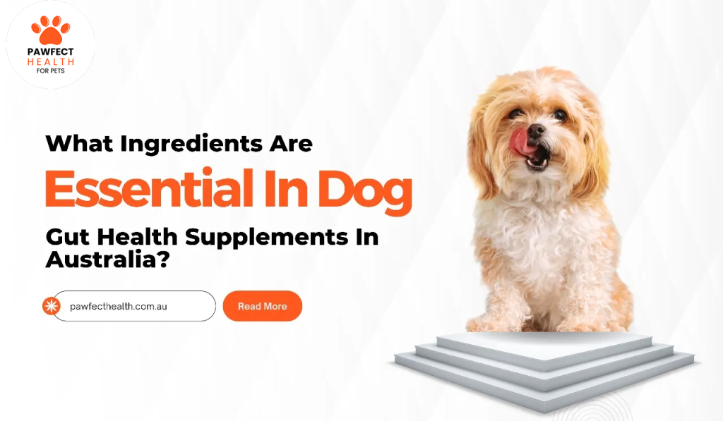 What Ingredients Are Essential In Dog Gut Health Supplements In Australia?
