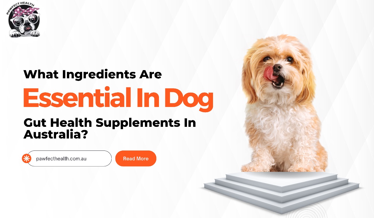 What Ingredients Are Essential In Dog Gut Health Supplements In Australia?
