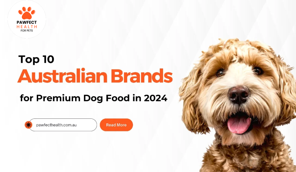 Top 10 Australian Brands for Premium Dog Food in 2024