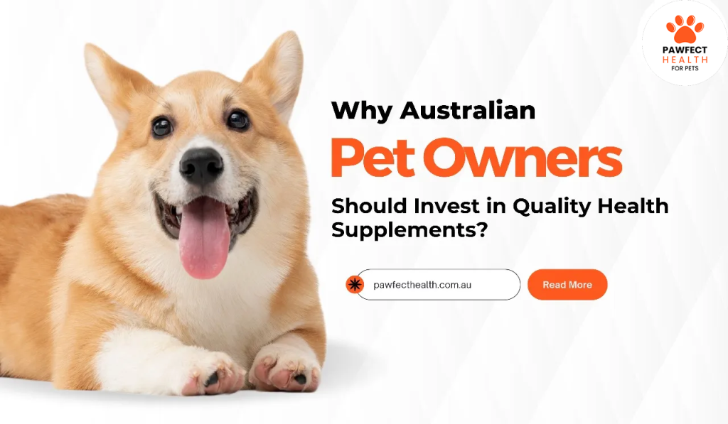 Why Australian Pet Owners Should Invest in Quality Health Supplements?