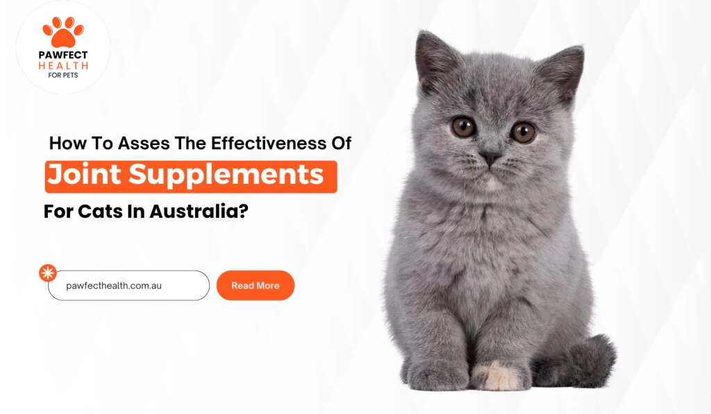 How To Asses The Effectiveness Of Joint Supplements For Cats In Australia?
