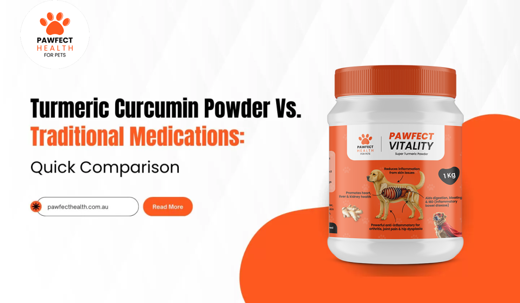 Turmeric Powder Vs. Traditional Medications: Quick Comparison